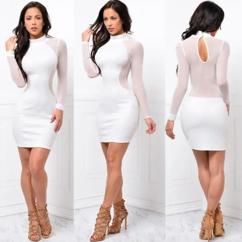Long Sleeve Backless Lace Mini Dress